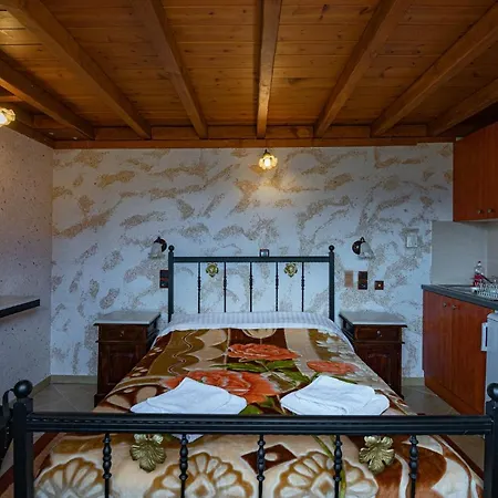 4 Εποχεσ Villa Kato Sinikia Trikalon Exterior photo